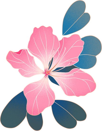 紫荆花素材 - canva可画