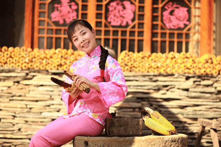 陕北民歌新星王二妮歌曲精选