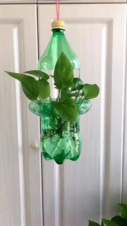 雪碧瓶变废为宝,婆婆看到超惊喜!