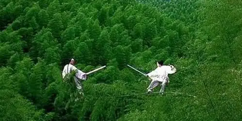 看过电影《卧虎藏龙》的人,多会被李慕白与玉娇龙在竹林中追逐打斗那