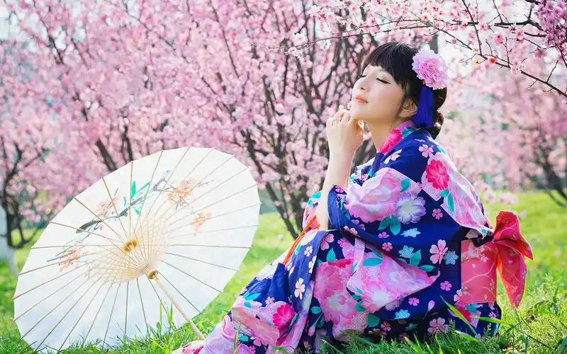 笑靥如花的和服少女桃花写真桌面壁纸-美女壁纸-手机壁纸下载-美桌网