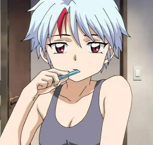 半妖的夜叉姬永远身份