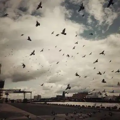 有意境的微信头像风景大全好看有气质的微信风景头像