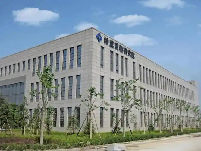 奋楫跨越魅力百强对话石家庄市百强企业神威药业集团执行总裁陈钟