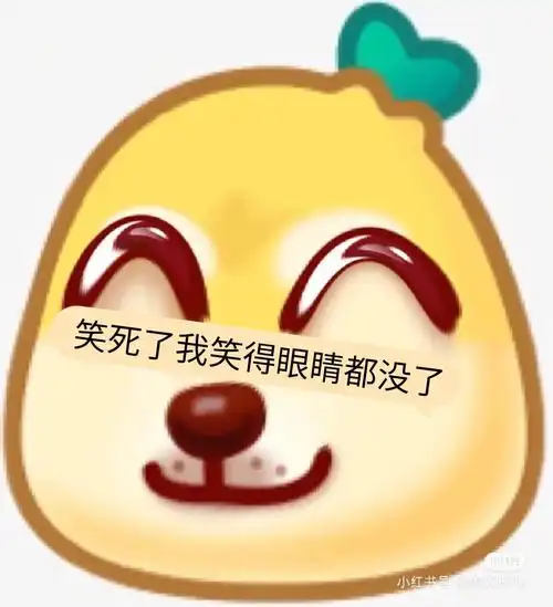 谁看谁笑死[doge]