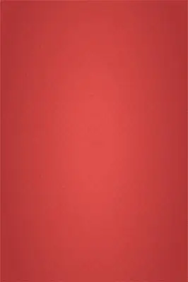 红色鱼鳞纹2020新年鼠年元旦节日海报背景