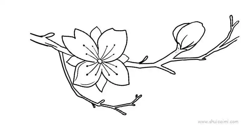 桃花儿童画怎么画桃花简笔画步骤