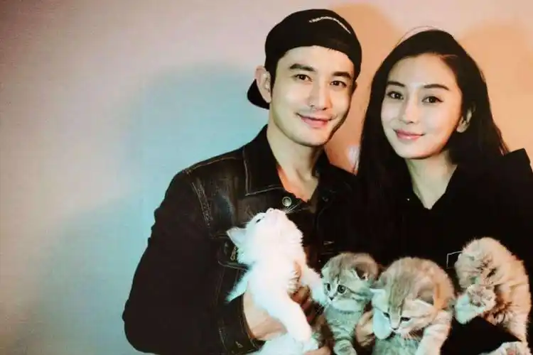 angelababy带小海绵参加亲子活动,事业停滞不前,只能专注孩子了