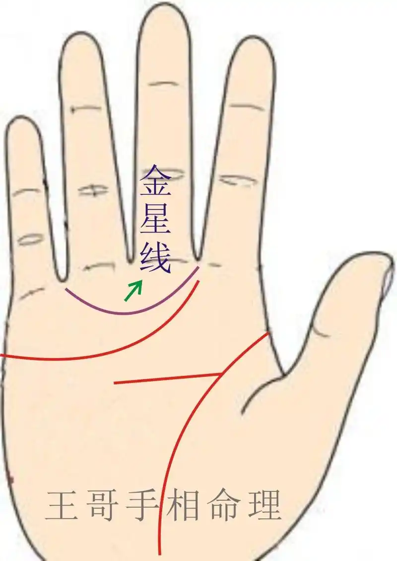 王哥细聊掌中"金星线"的含义(一)