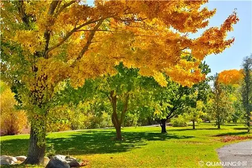 秋天图片_图片大全