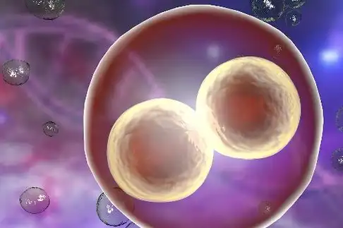 备孕期间,若发现"内裤"上有这种变化,许是小蝌蚪"安家"成功_女性_分泌