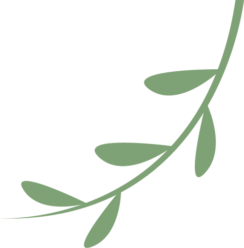 【梅郎创优】悦读悦动悦成长 润智润心乐启航——五(11)班的创优故事