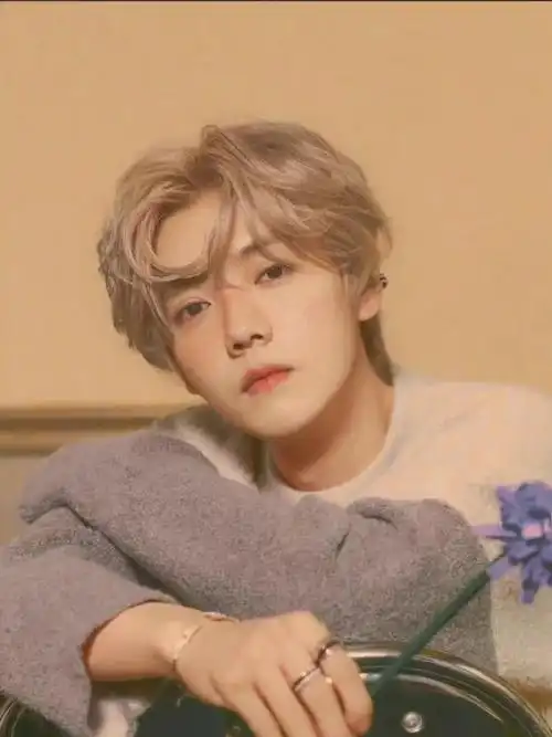 每天安利一位明星--鹿晗