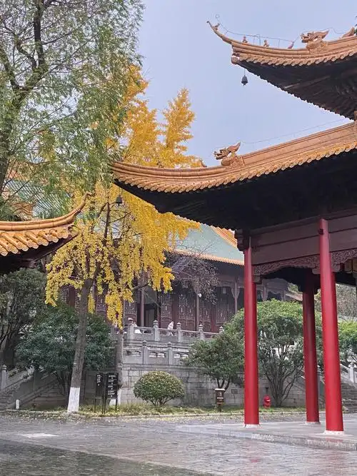 『南京市博物馆』