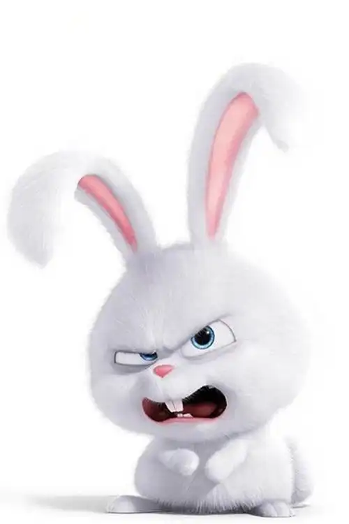 动漫电影爱宠大机密里的小兔子,高清图片,手机锁屏桌面-壁纸族