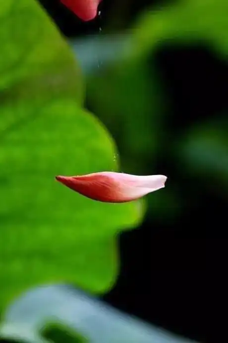 460_690竖版 竖屏