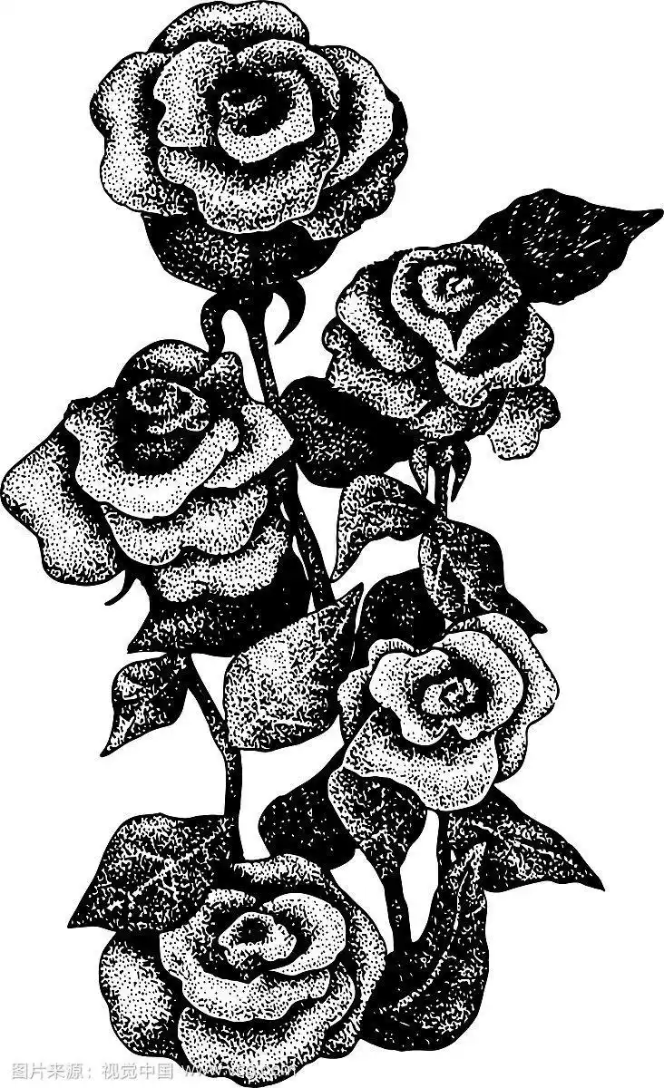 黑白点画的五朵玫瑰