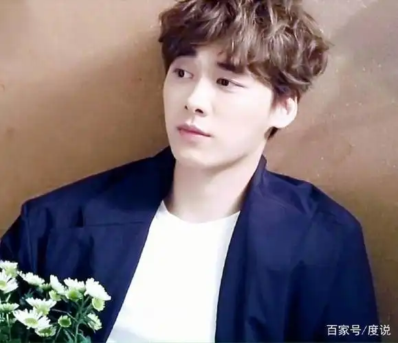 鹿晗,吴亦凡,李易峰,杨洋并称为中国四大流量小生,他们每个人坐拥千万