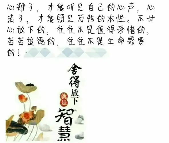 舍得放下,是一种大智慧.