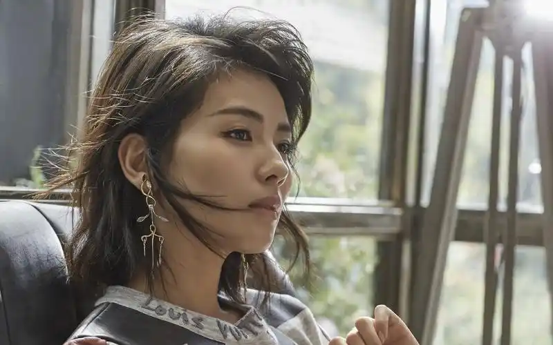 刘涛时尚气质唯美写真图片桌面壁纸