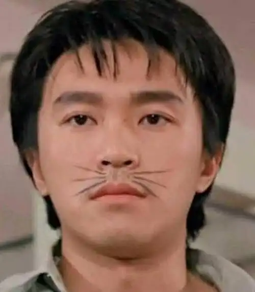 写这么多废话只是想怀念下星爷的电影,大爱周星驰!