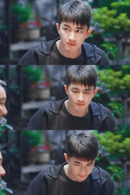 林更新谭松韵请叫我总监旧照