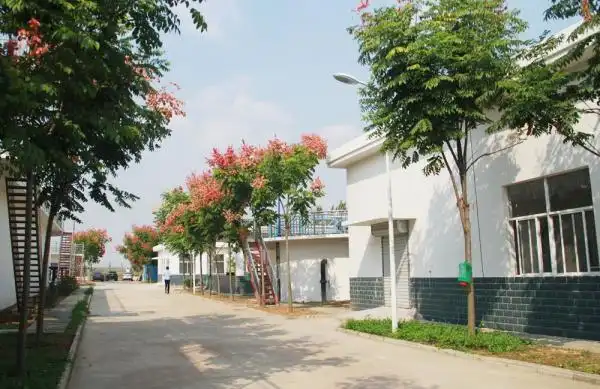 为了这个国字号牌子徐州大许镇拼了