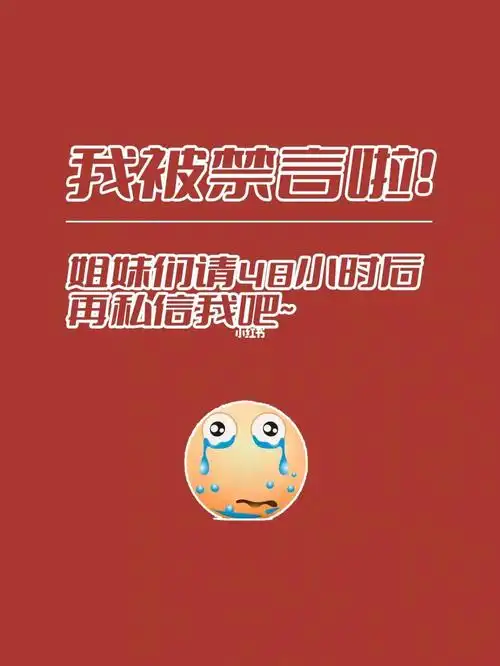 我被禁言了tt请48小时后再滴滴我