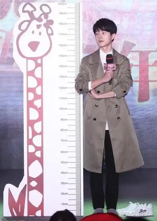 被脸连累的5位男星看脸1米7实际1米8沈腾身高让何炅惊讶