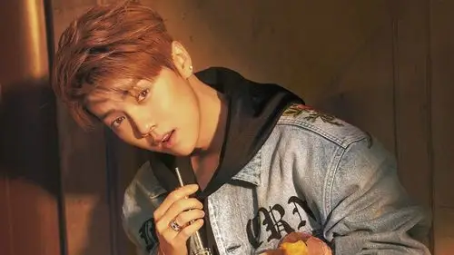 鹿晗 帅气 明星风尚壁纸