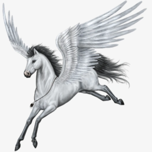 在翅膀的飞马 (2)