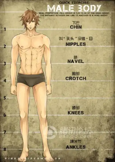 男生身体比例