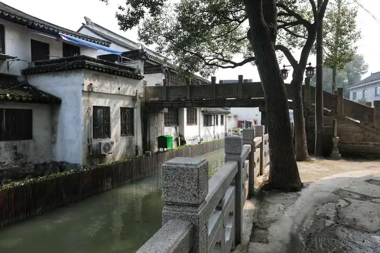 20190311庄行老街(二)