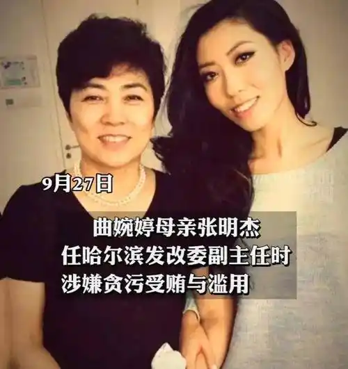 原来曲婉婷才是"人血馒头"的受益者_张明杰_母亲_惩罚