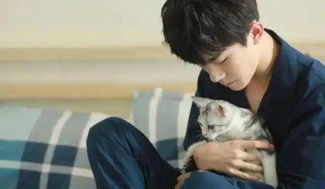 易烊千玺与他养的猫猫猫