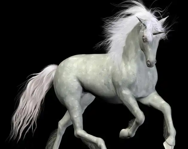 苏杰:中国的企业服务为什么没有独角兽?