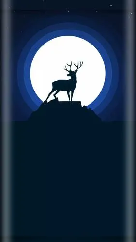 上几张自己使用的曲面屏壁纸