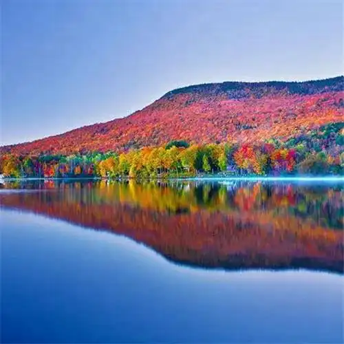 秋天唯美头像图片58张 高清唯美意境适合秋天的风景头像图片_风景头像