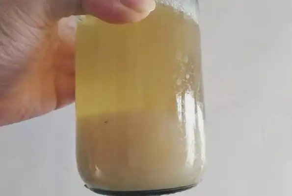 引起尿中磷酸盐类结晶沉淀而使尿液变浊这种尿液若加入酸,则白浊物