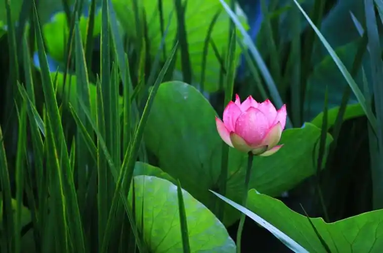 2020年总结一下自己