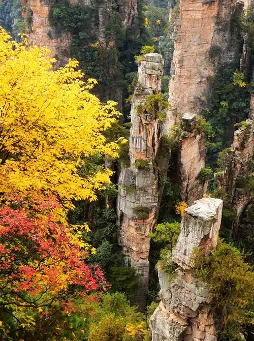 黄石寨,袁家界等景区的群峰之间,将张家界地貌峰林风光点缀得更加神奇