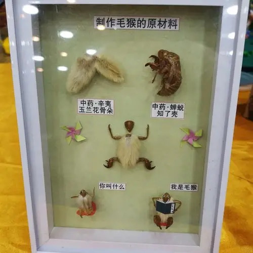 北京毛猴