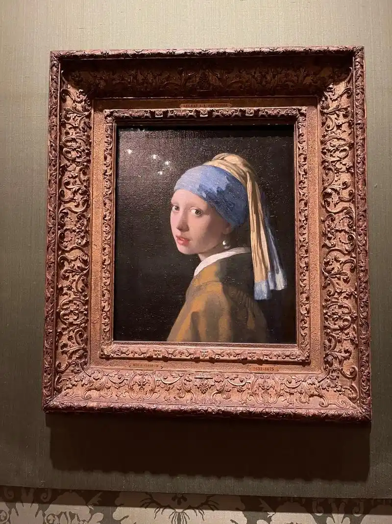 镇馆之作:维米尔戴珍珠耳环的少女伦勃朗 - 抖音