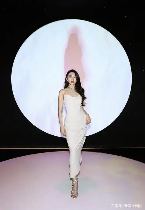 苗苗活成了郑恺妻子,郑恺前任却活成了真正的自己,升级为女强人