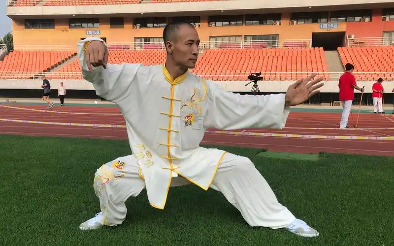 活动  陈氏太极拳-56式