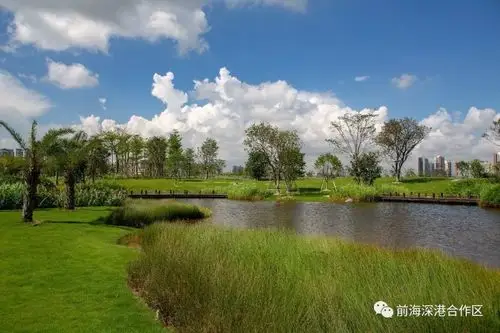形态设计以自然系化的形态格局进行设计充分考虑雨水湿地的驳岸水流