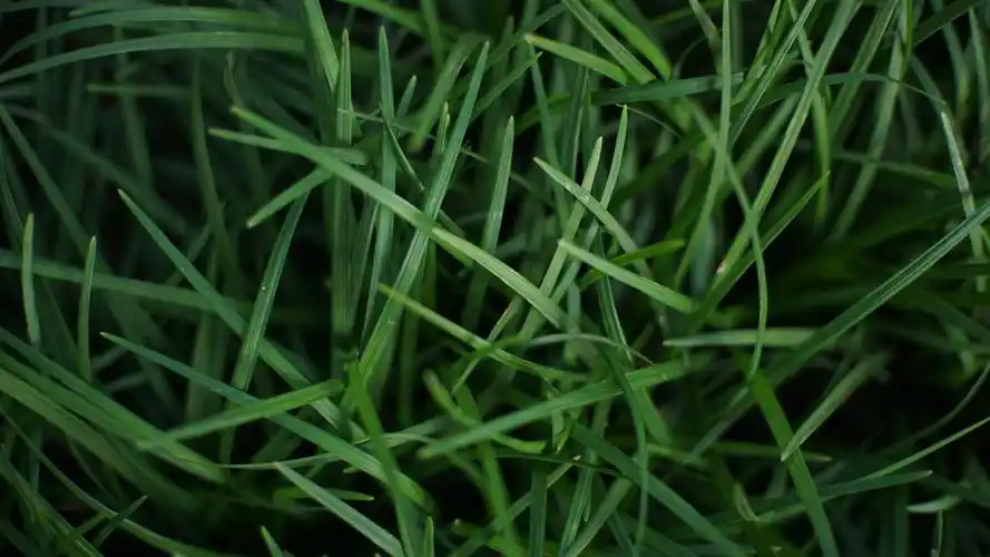 教你轻松调出墨绿色墨绿色怎么调