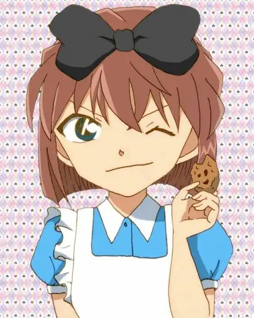 灰原哀(《名侦探柯南》中的角色))_石塘网