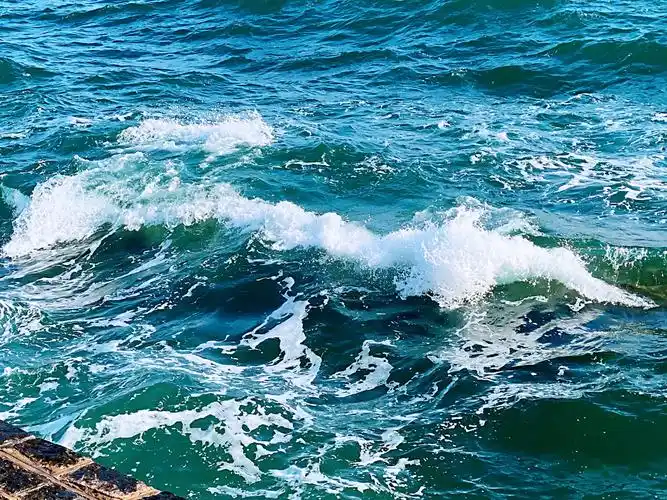 【首发】大海与浪花