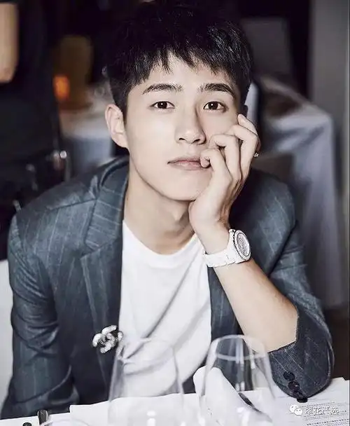 刘昊然同学,我想和你谈恋爱